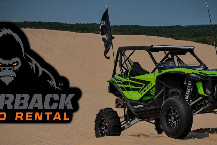 a close up of a horse drawn carriage