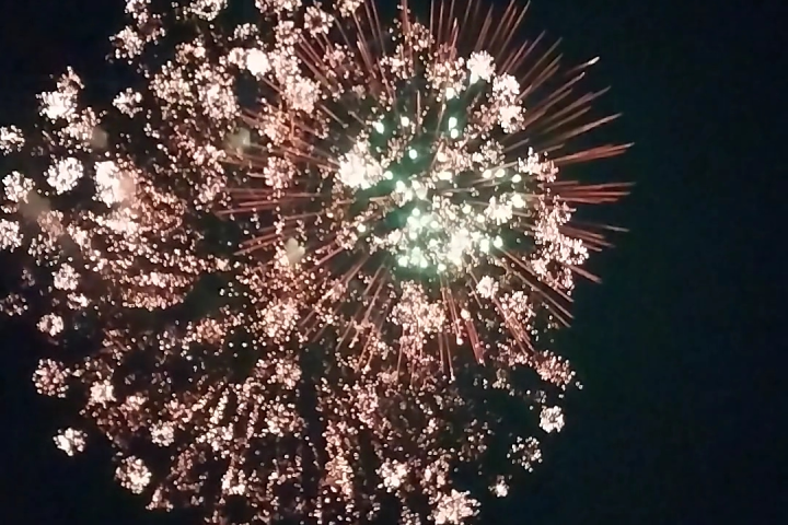 fireworks in the sky